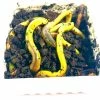 BAIT Green Worms (1 Dozen) Live Bait