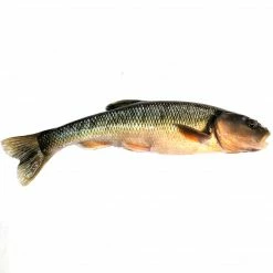 BAIT Live Bait Extra-Large Creek Minnows (Per Minnow)